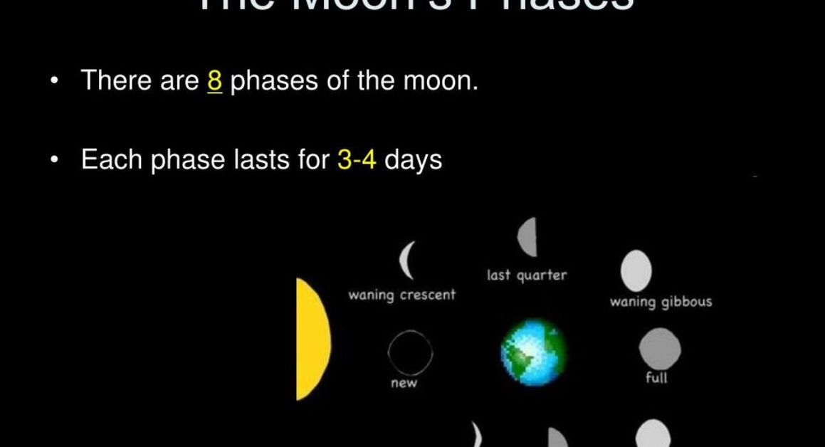 the 8 moon phases (1)